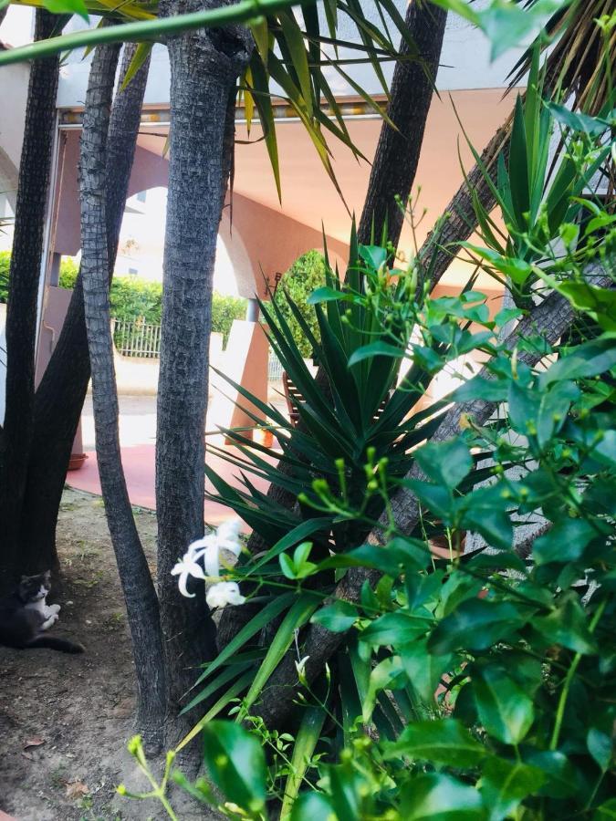 Ari B&B Montesilvano Ngoại thất bức ảnh